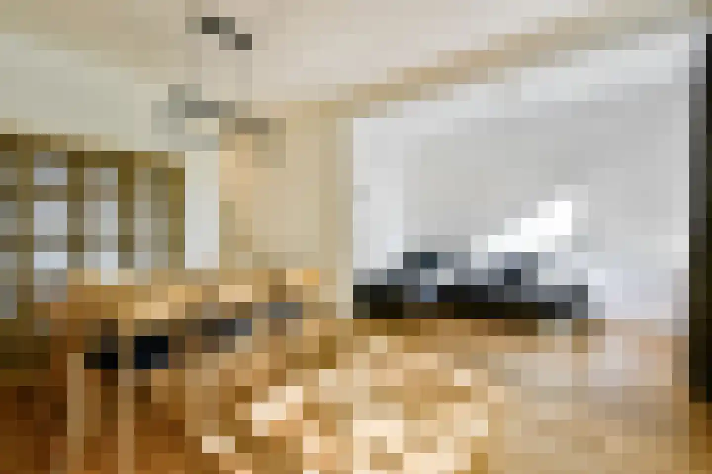 Geuzenstraat 51 2 Amsterdam thumbnail 4