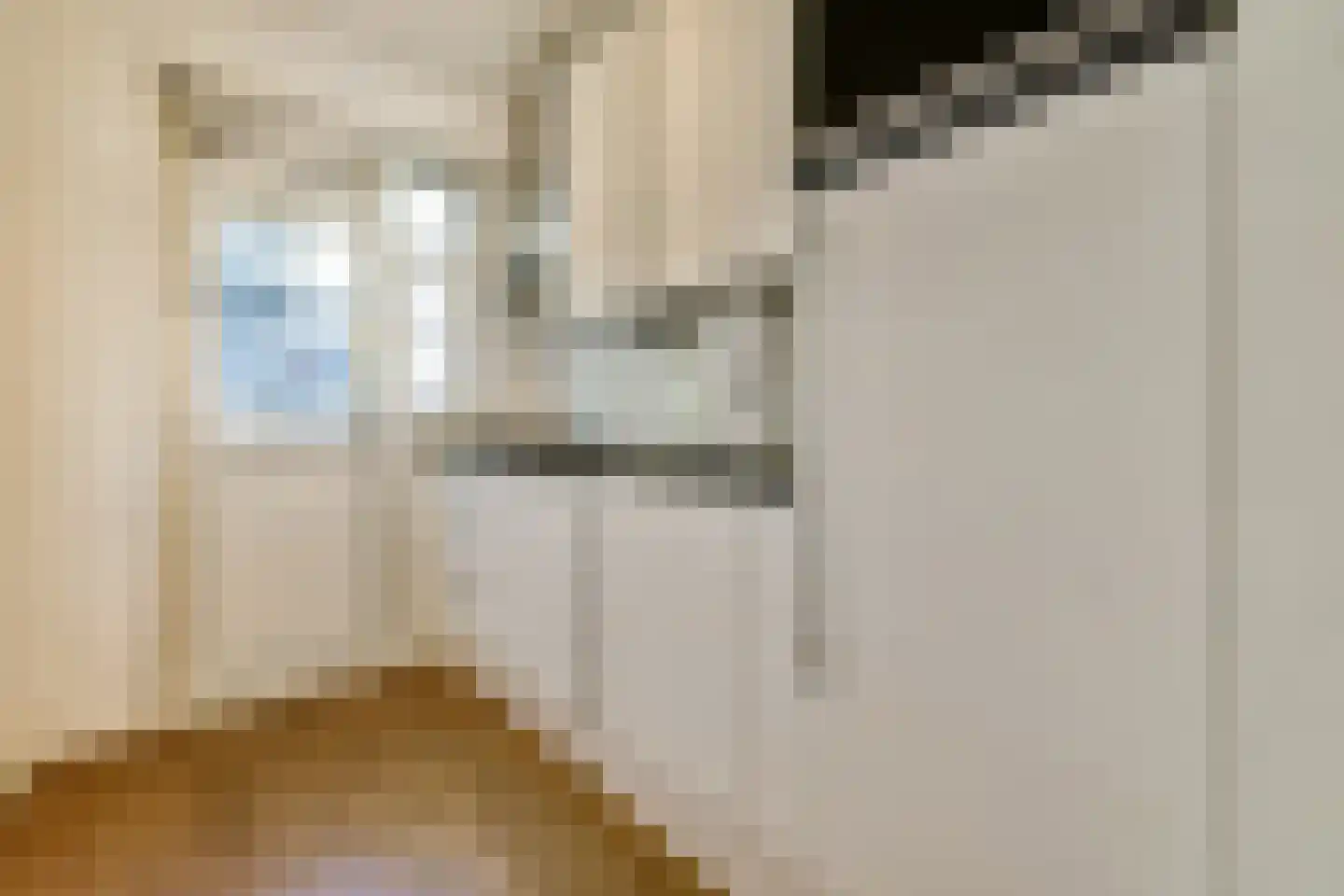 Geuzenstraat 51 2 Amsterdam thumbnail 7