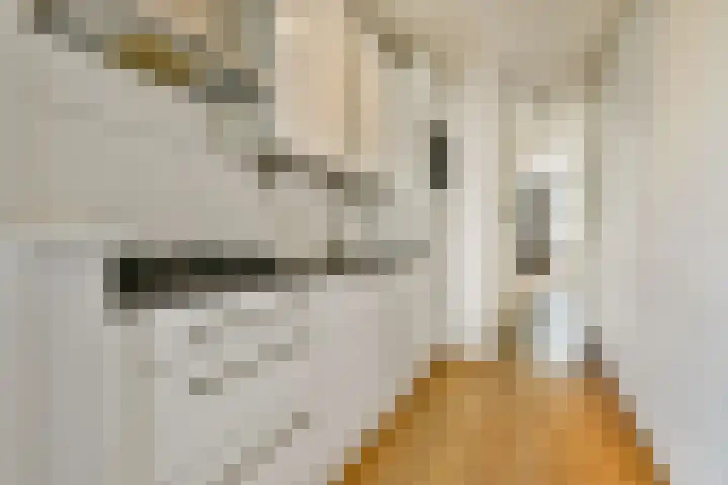 Geuzenstraat 51 2 Amsterdam thumbnail 8