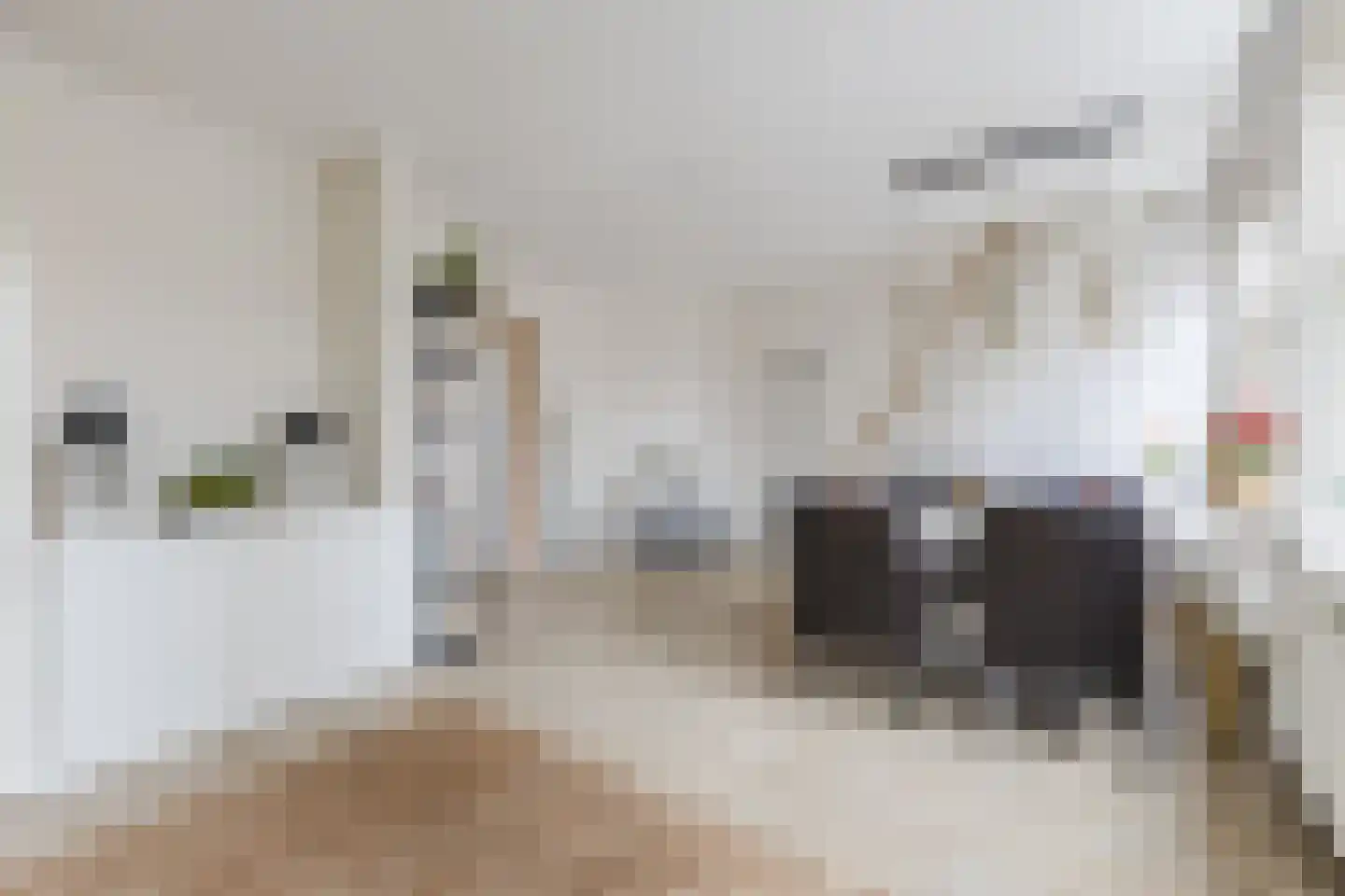 Geuzenstraat 54 1 Amsterdam thumbnail 16