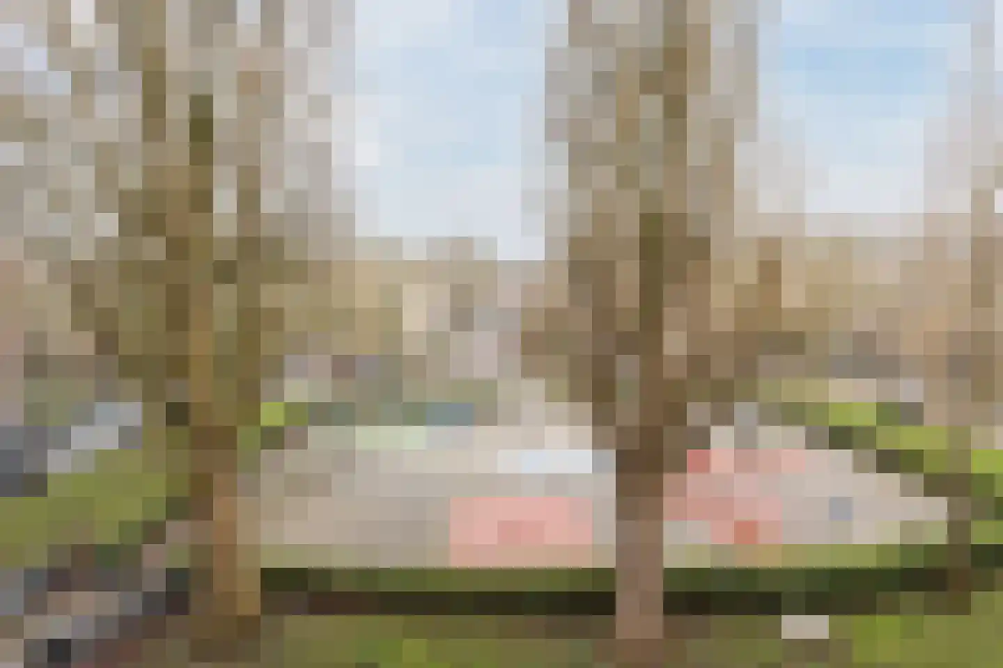 Geuzenstraat 54 1 Amsterdam thumbnail 41