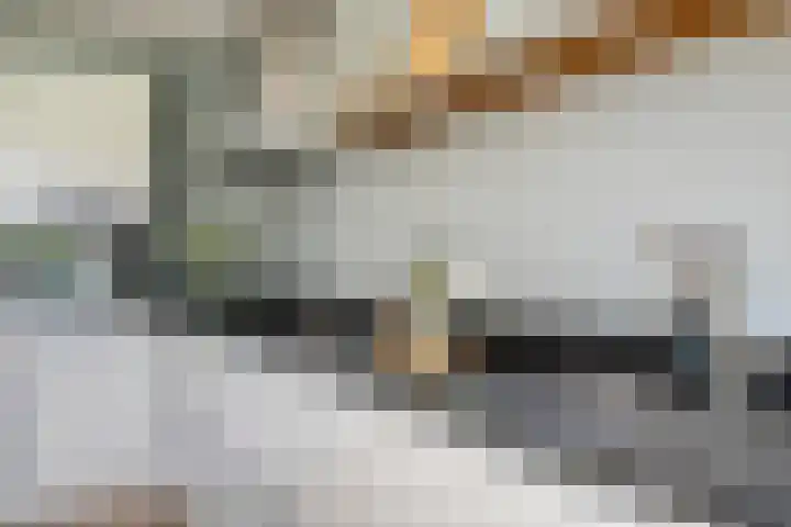 Geuzenstraat 60 1 Amsterdam thumbnail 9