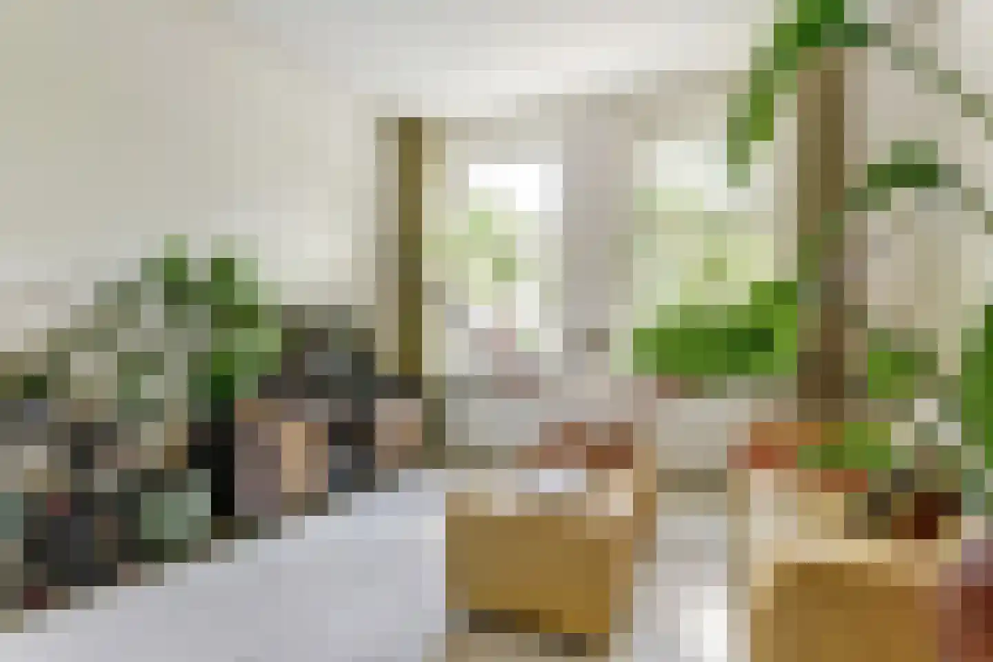 Geuzenstraat 61 2 Amsterdam thumbnail 14