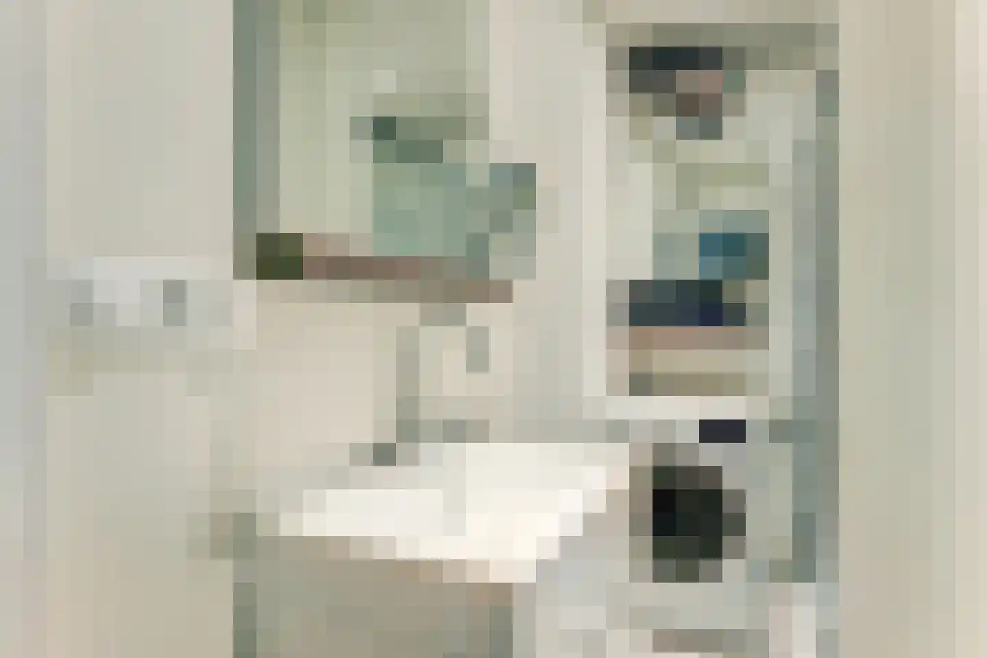 Geuzenstraat 61 2 Amsterdam thumbnail 21