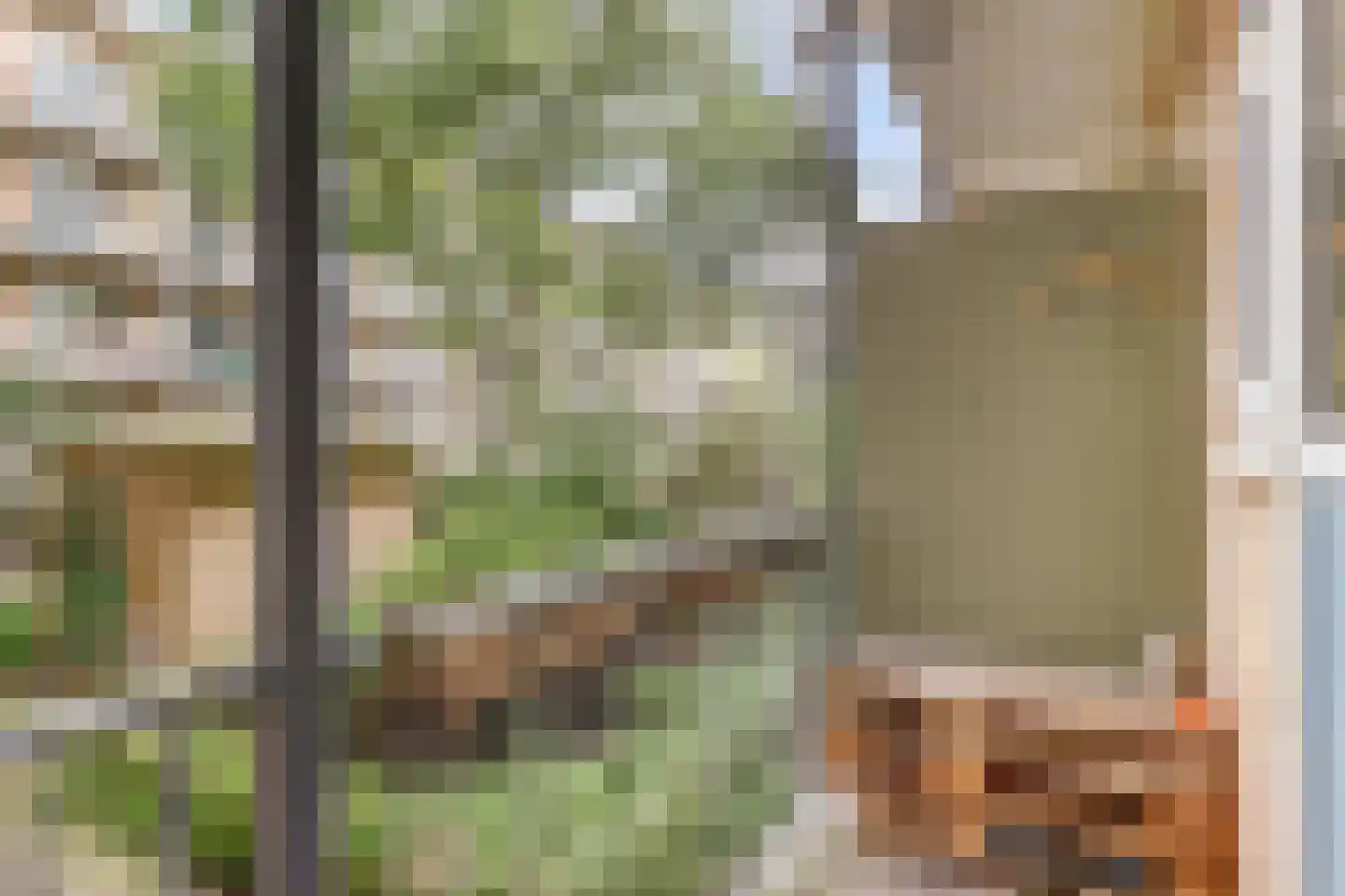 Geuzenstraat 61 2 Amsterdam thumbnail 26