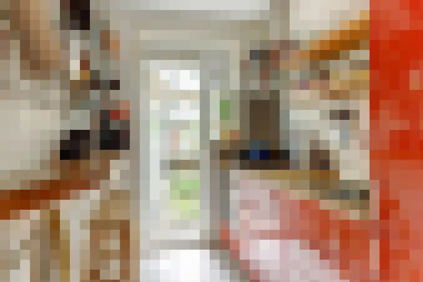 Geuzenstraat 61 2 Amsterdam thumbnail 9