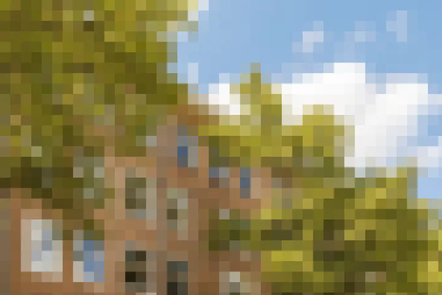 Geuzenstraat 61 3 Amsterdam thumbnail 18