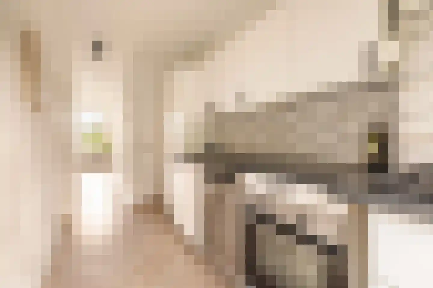 Geuzenstraat 61 3 Amsterdam thumbnail 8