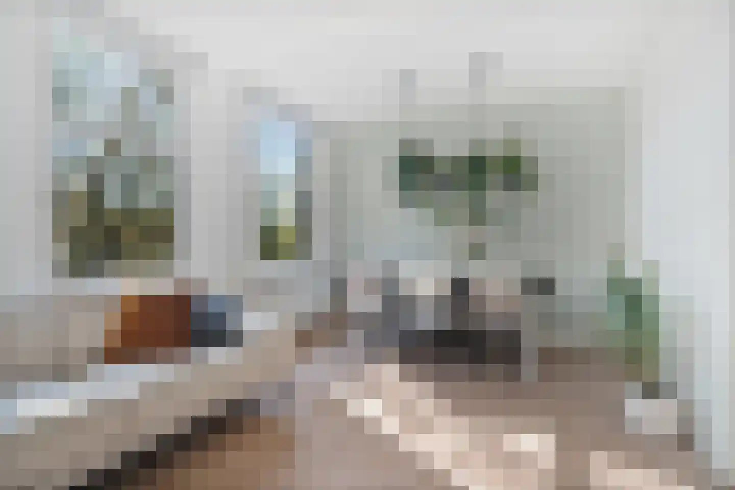 Geuzenstraat 73 1 Amsterdam thumbnail 14