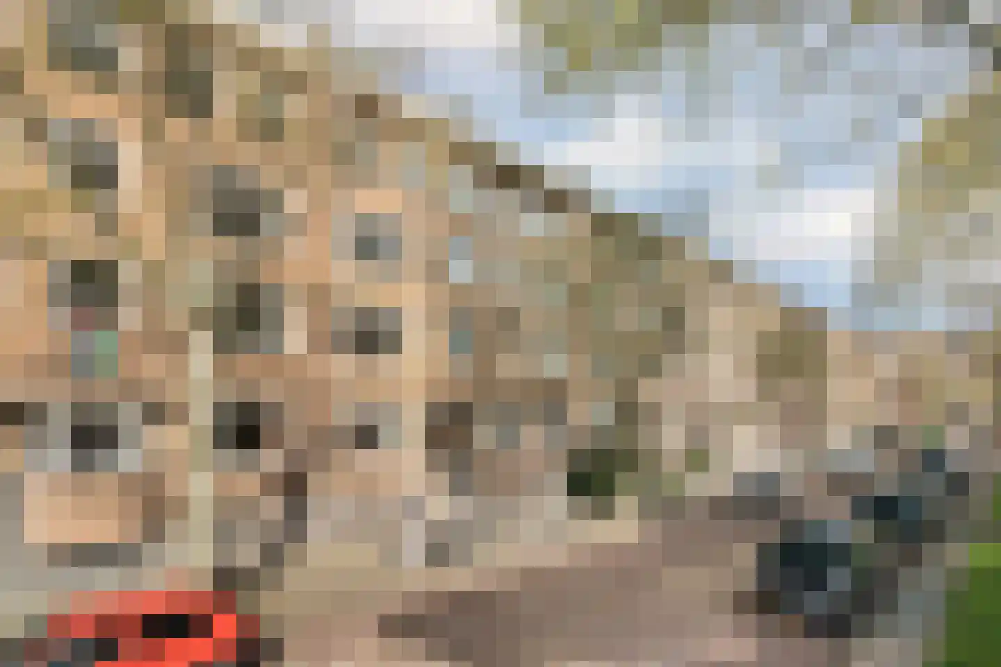 Geuzenstraat 73 1 Amsterdam thumbnail 8