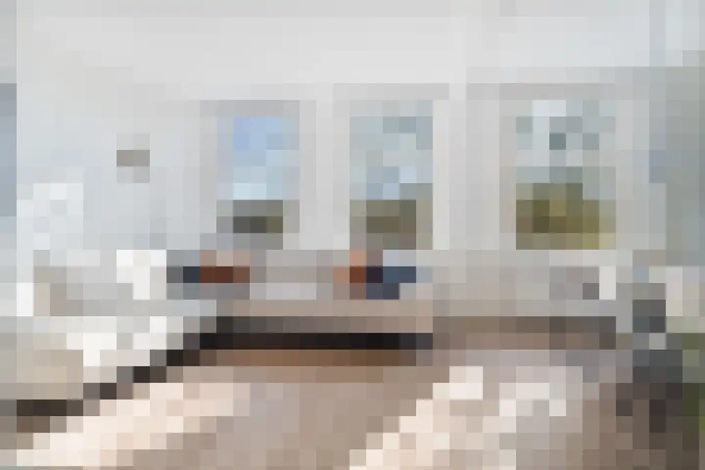 Geuzenstraat 73 3 Amsterdam thumbnail 13