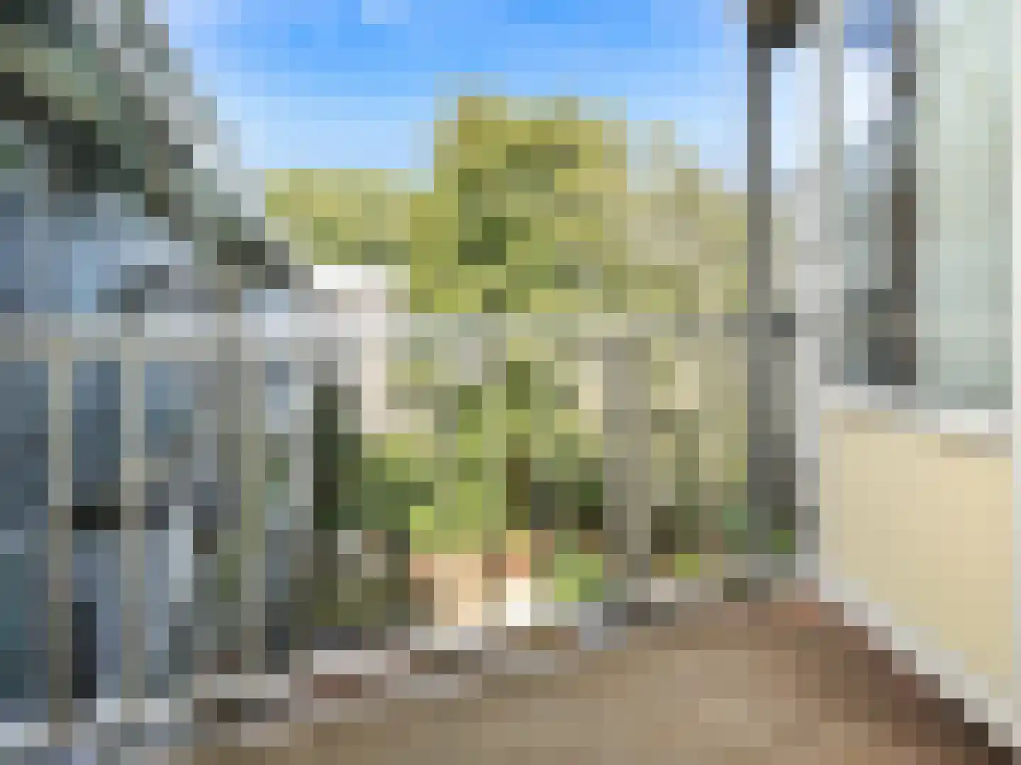 Geuzenstraat 78 3 Amsterdam thumbnail 16