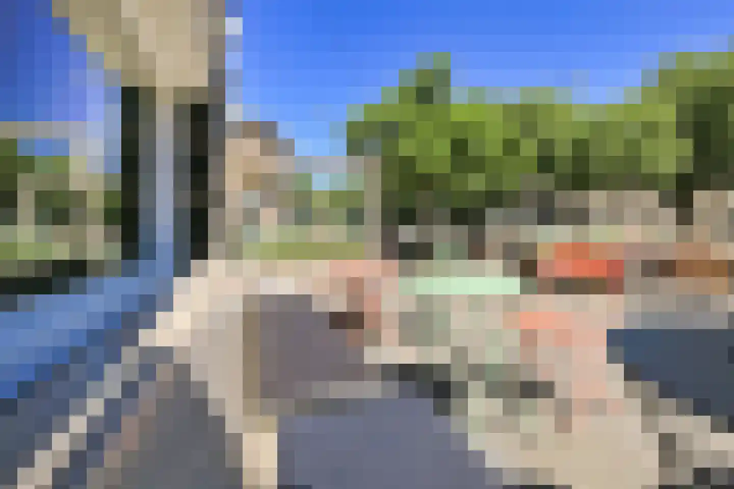 Geuzenstraat 78 3 Amsterdam thumbnail 39