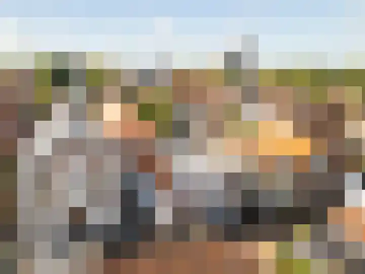 Geuzenstraat 8 Brielle thumbnail 11