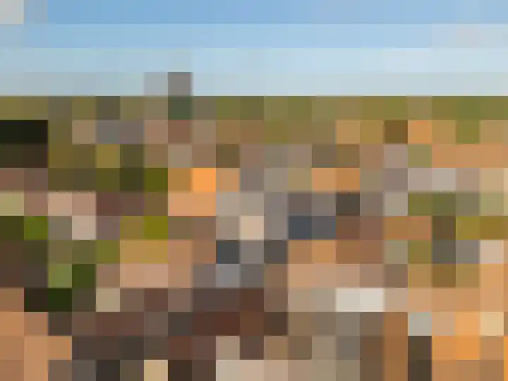 Geuzenstraat 8 Brielle thumbnail 14