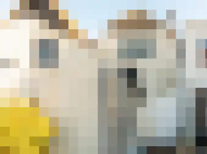 Geuzenstraat 8 Brielle thumbnail 4