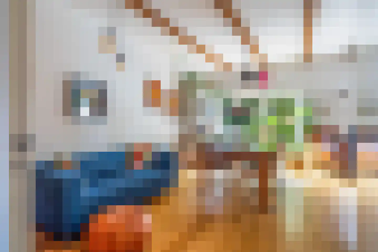 Geuzenstraat 8 Gouda thumbnail 11