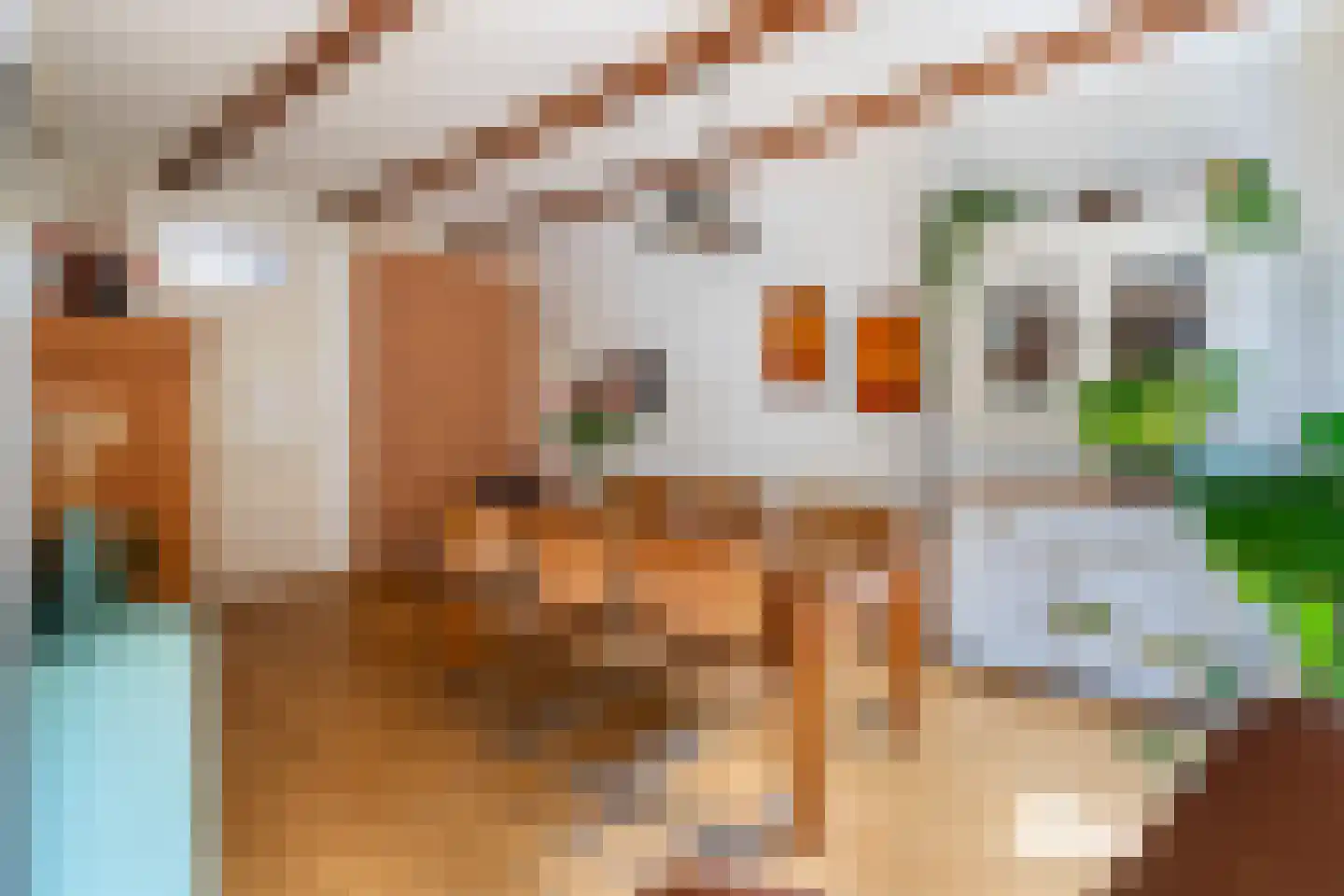 Geuzenstraat 8 Gouda thumbnail 12