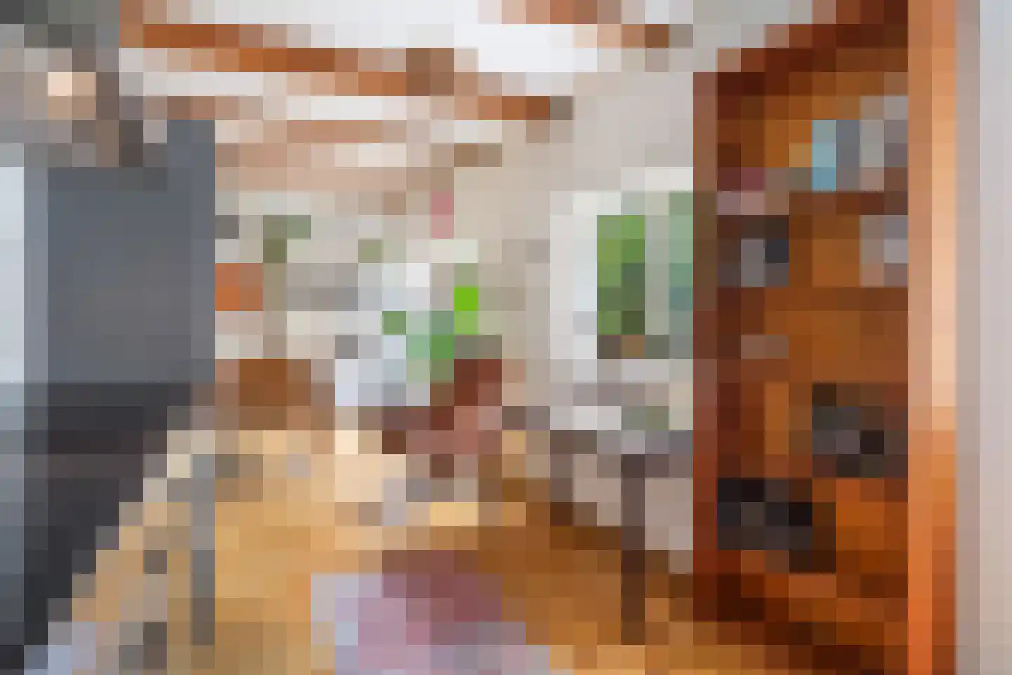 Geuzenstraat 8 Gouda thumbnail 20