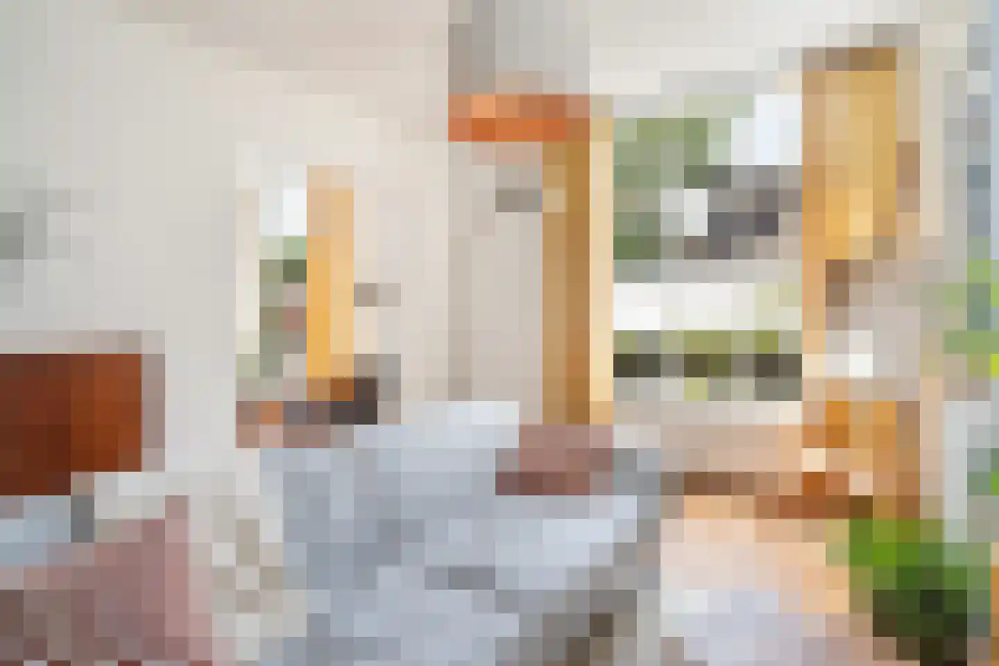 Geuzenstraat 8 Gouda thumbnail 35