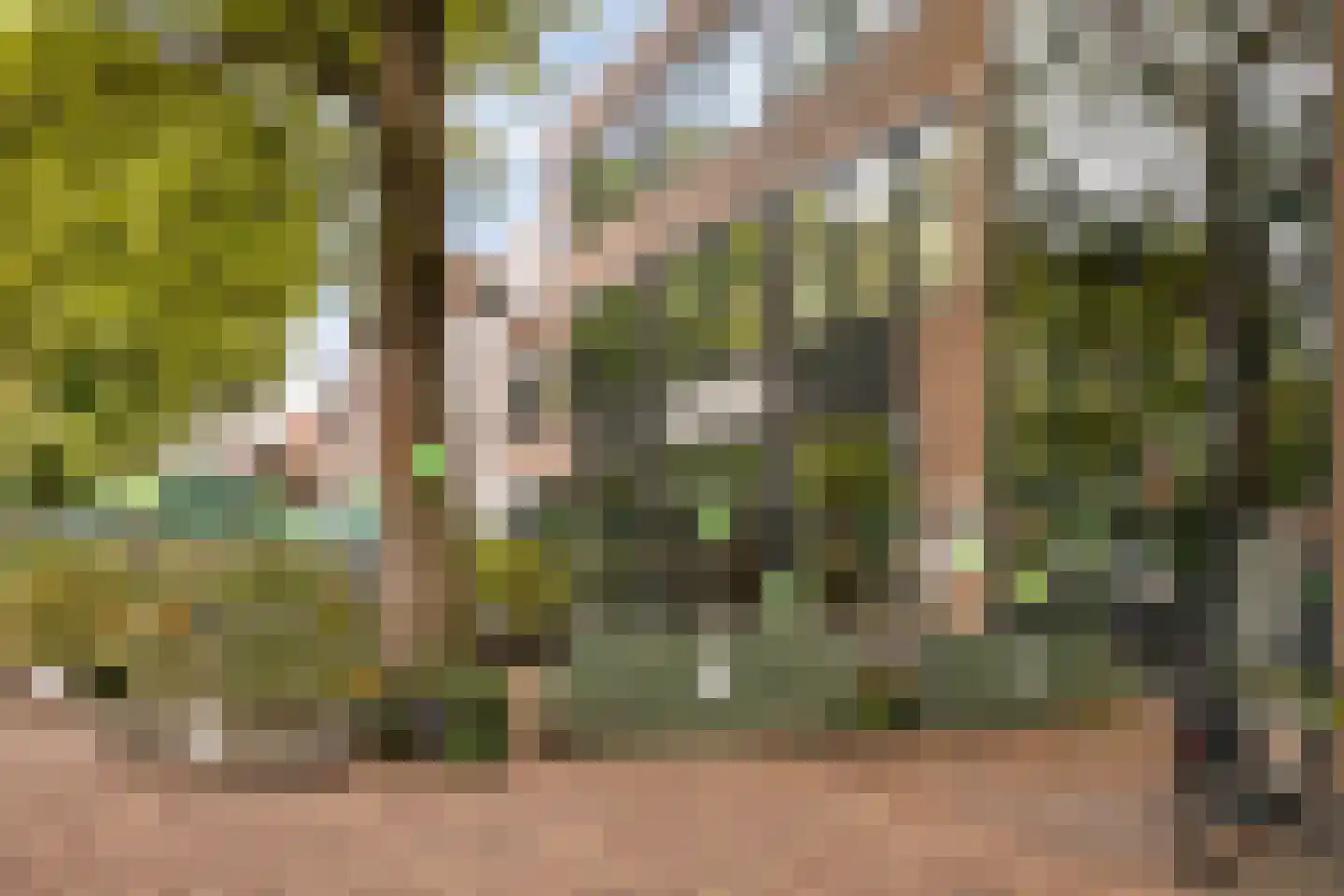 Geuzenstraat 8 Gouda thumbnail 59