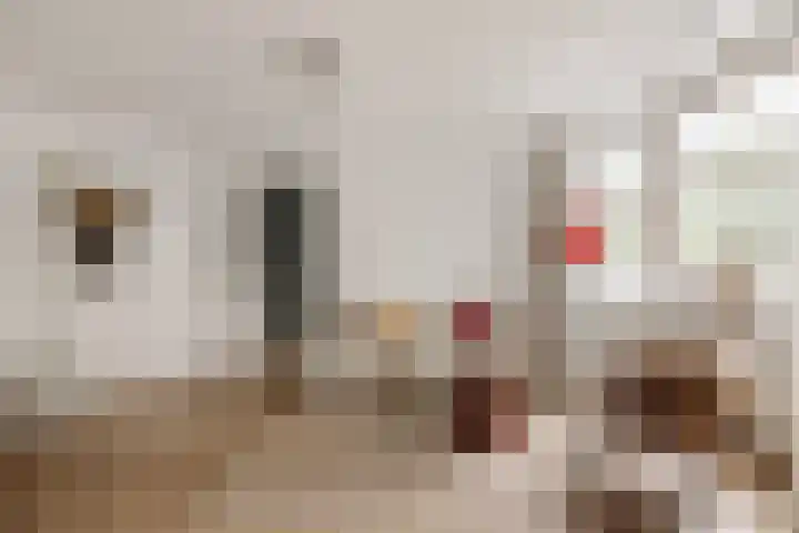 Geuzenstraat 84 H Amsterdam thumbnail 28