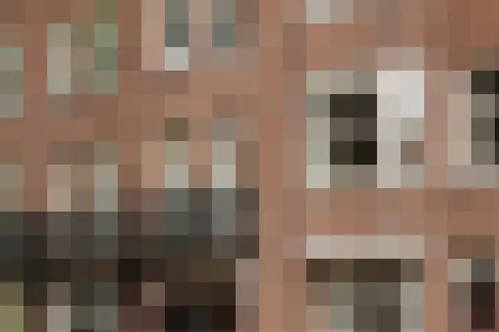Geuzenstraat 84 H Amsterdam thumbnail 7