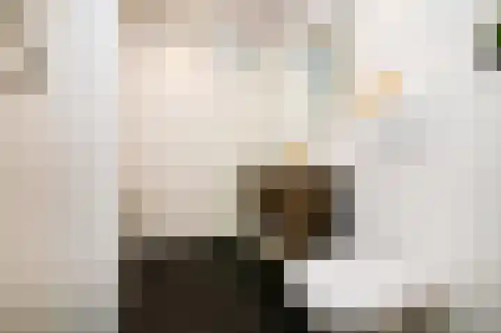 Geuzenstraat 85 2 Amsterdam thumbnail 17