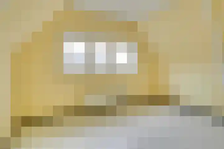 Geuzenweg 13 Hilversum thumbnail 26