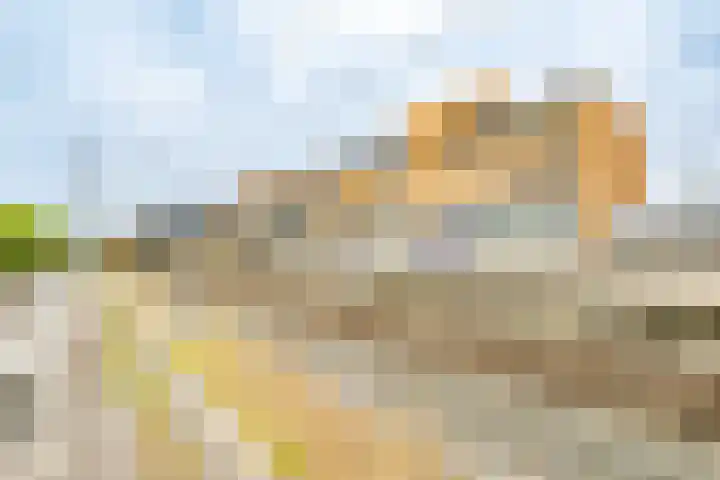 Geuzenweg 13 Hilversum thumbnail 28