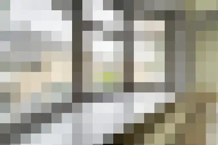 Geuzenweg 13 Hilversum thumbnail 9