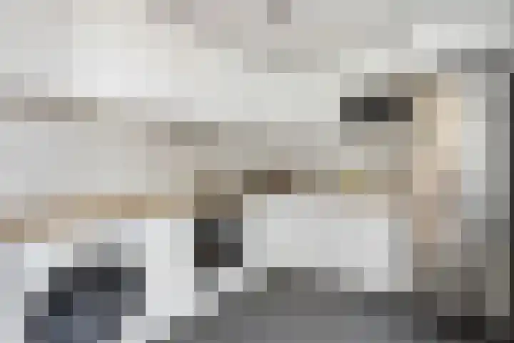 Geuzenweg 137 Hilversum thumbnail 12