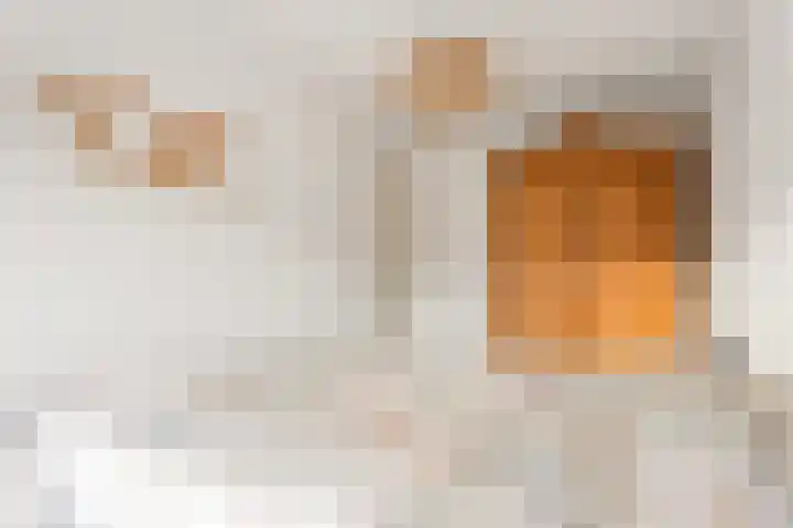 Geuzenweg 137 Hilversum thumbnail 21
