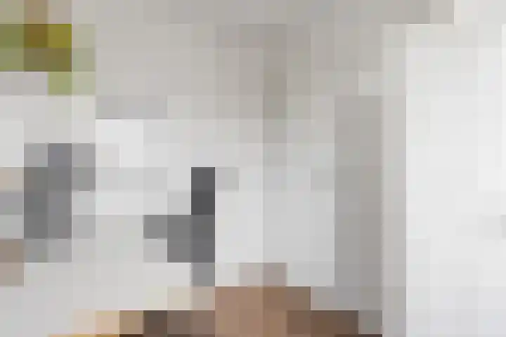 Geuzenweg 137 Hilversum thumbnail 27