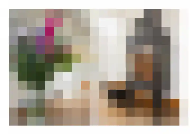 Geuzenweg 137 Hilversum thumbnail 8