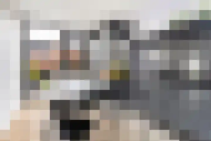 Geuzenweg 150 Hilversum thumbnail 12