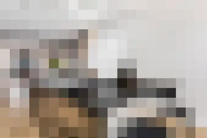 Geuzenweg 150 Hilversum thumbnail 14