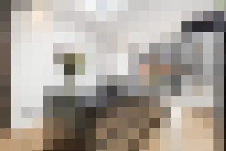 Geuzenweg 150 Hilversum thumbnail 15
