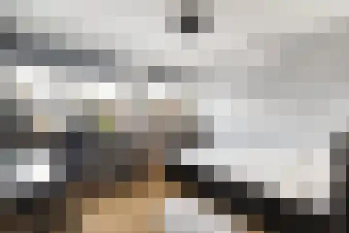 Geuzenweg 150 Hilversum thumbnail 20