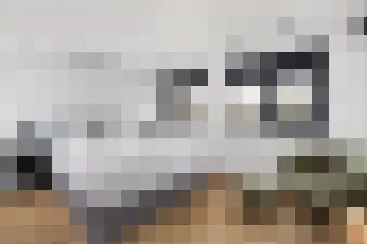 Geuzenweg 150 Hilversum thumbnail 27