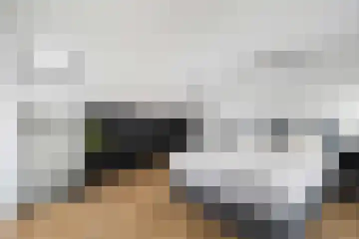 Geuzenweg 150 Hilversum thumbnail 28