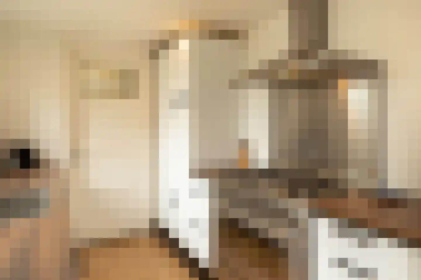 Geuzenweg 166 Hilversum thumbnail 17