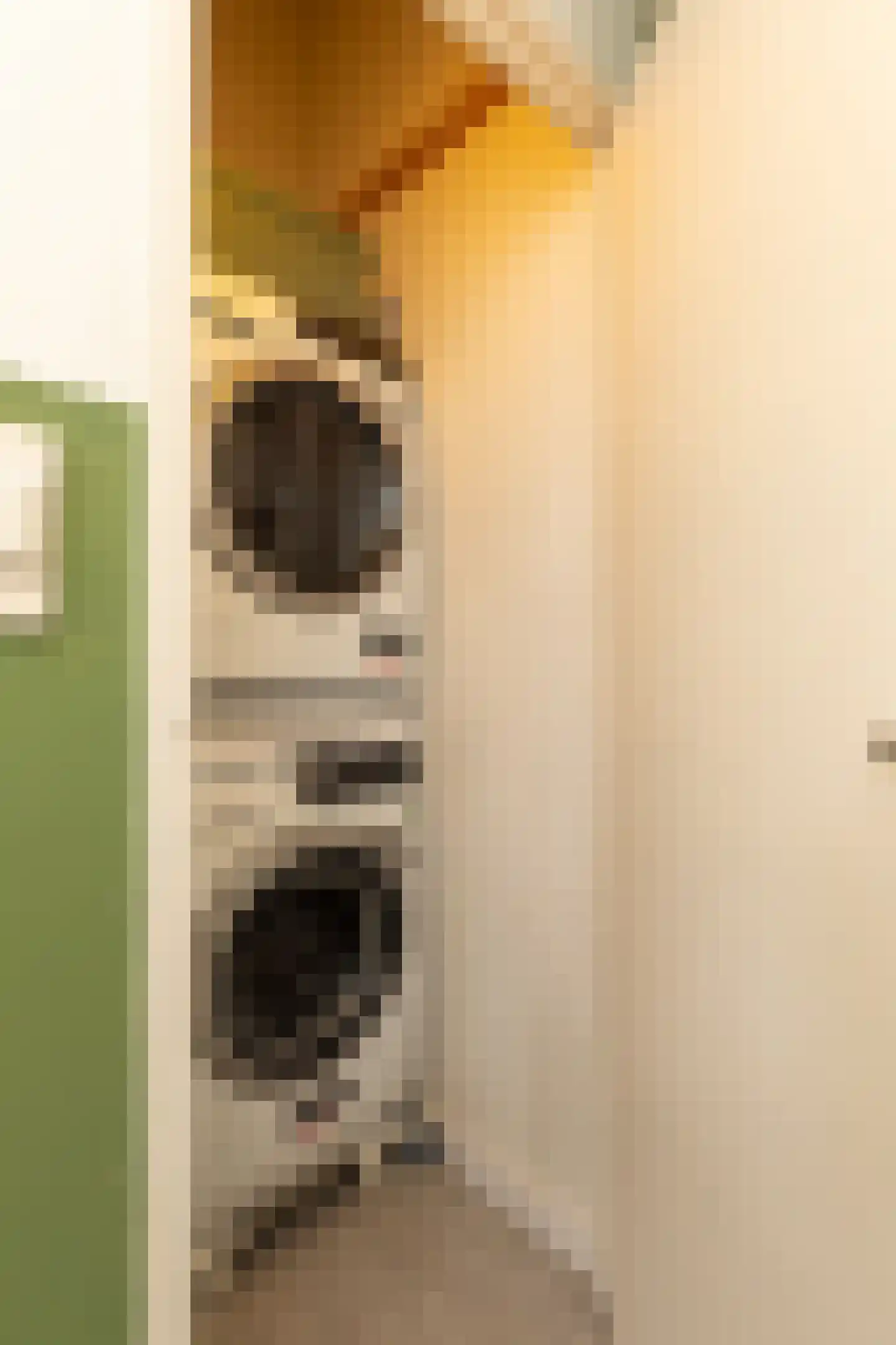 Geuzenweg 166 Hilversum thumbnail 18