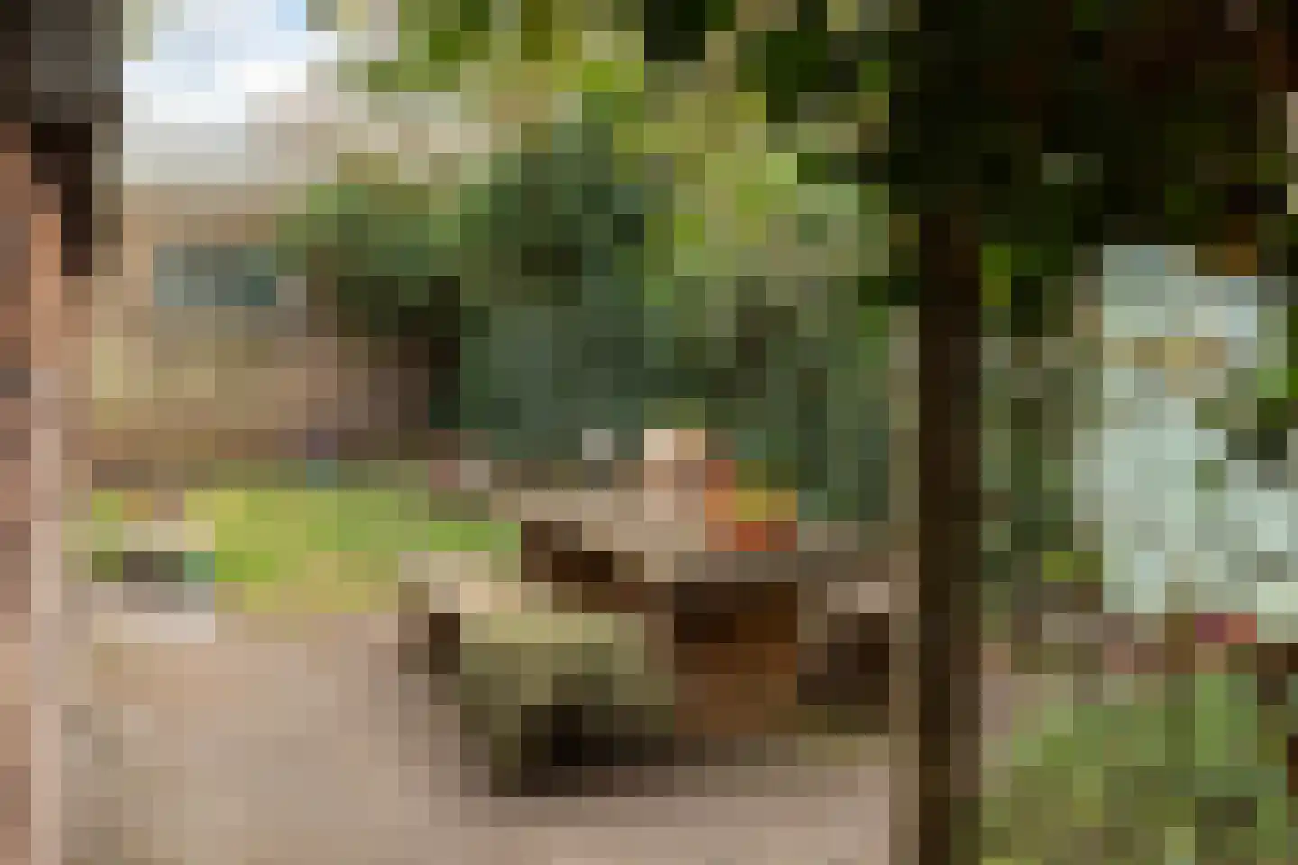 Geuzenweg 166 Hilversum thumbnail 30