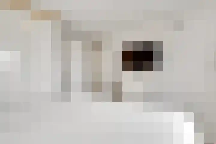 Geuzenweg 171 Hilversum thumbnail 17