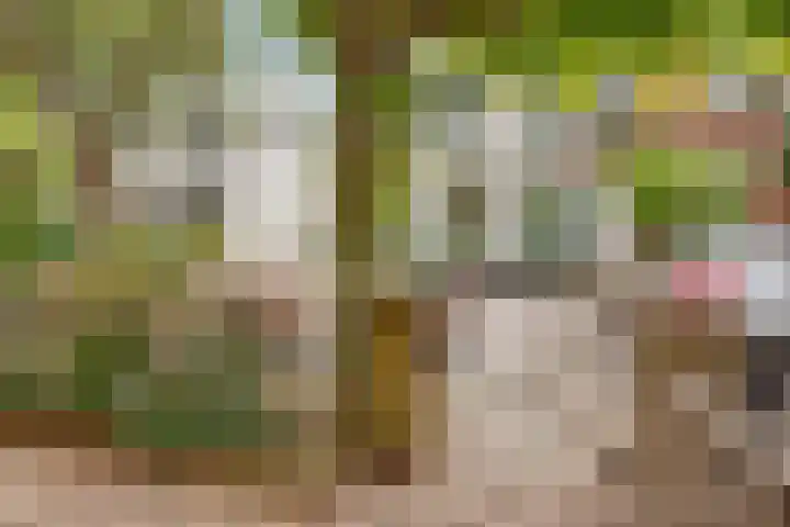 Geuzenweg 171 Hilversum thumbnail 29