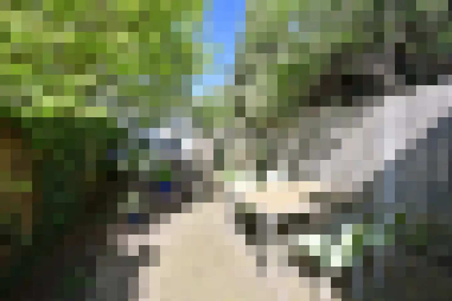 Geuzenweg 189 Hilversum thumbnail 12