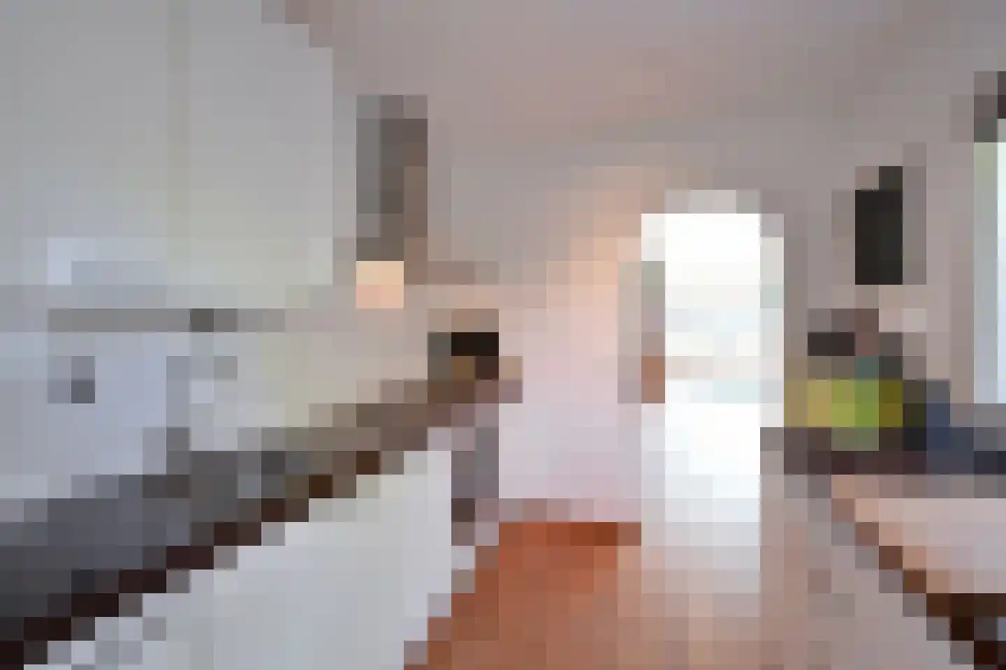 Geuzenweg 189 Hilversum thumbnail 6