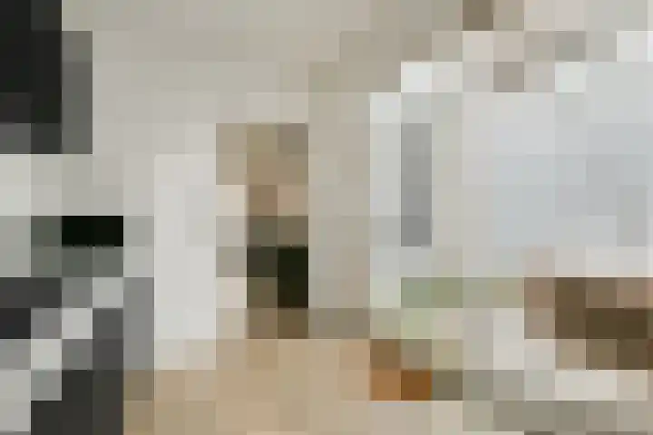 Geuzenweg 19 Hilversum thumbnail 12