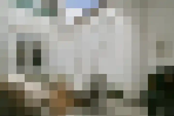 Geuzenweg 19 Hilversum thumbnail 16